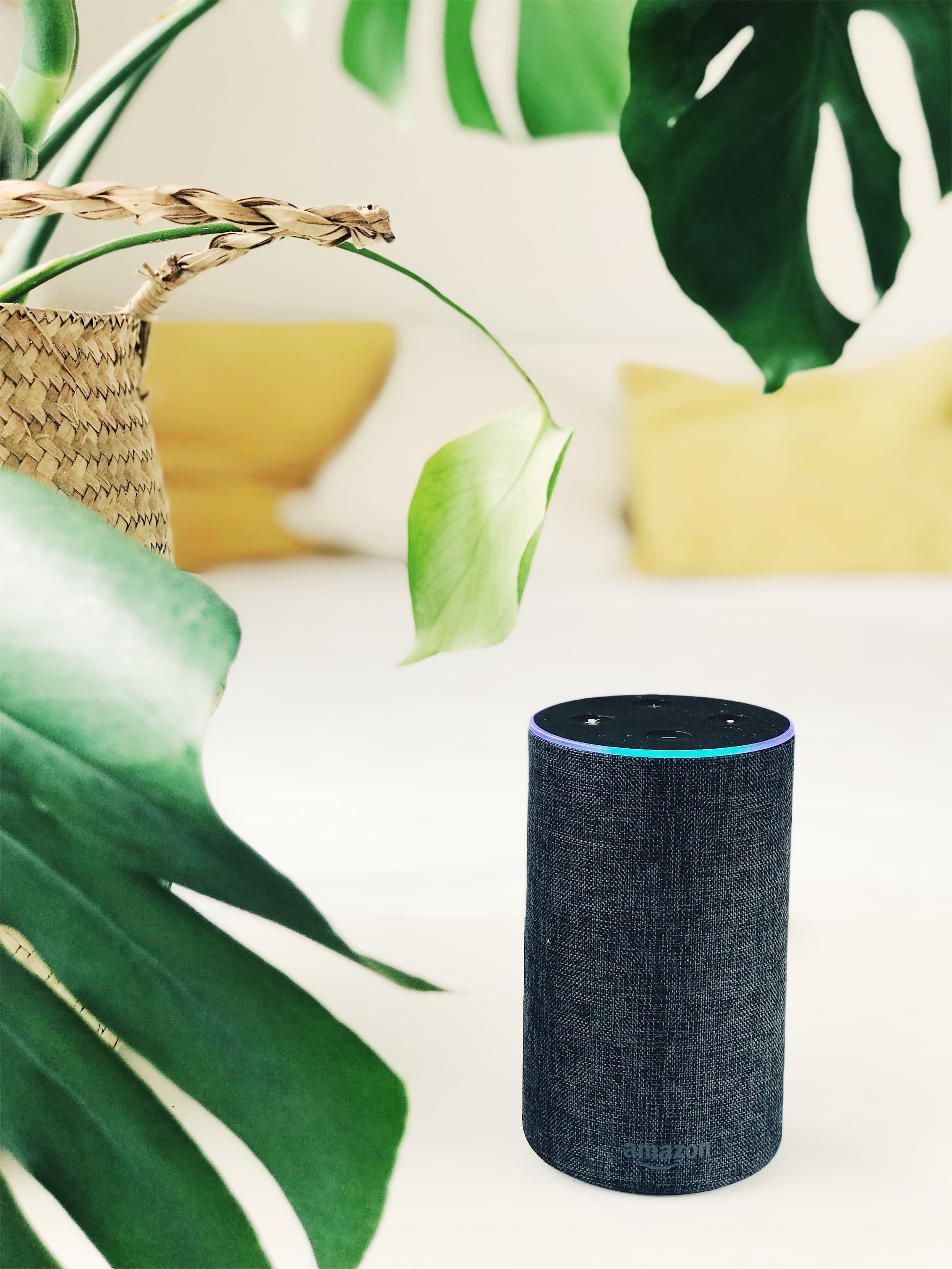 voice assistant image